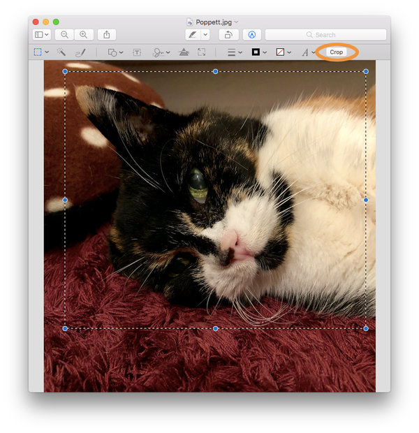 use image crop app for mac